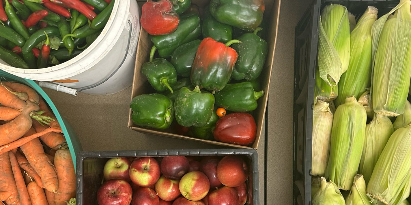 Various containers filled with fruits and vegetables