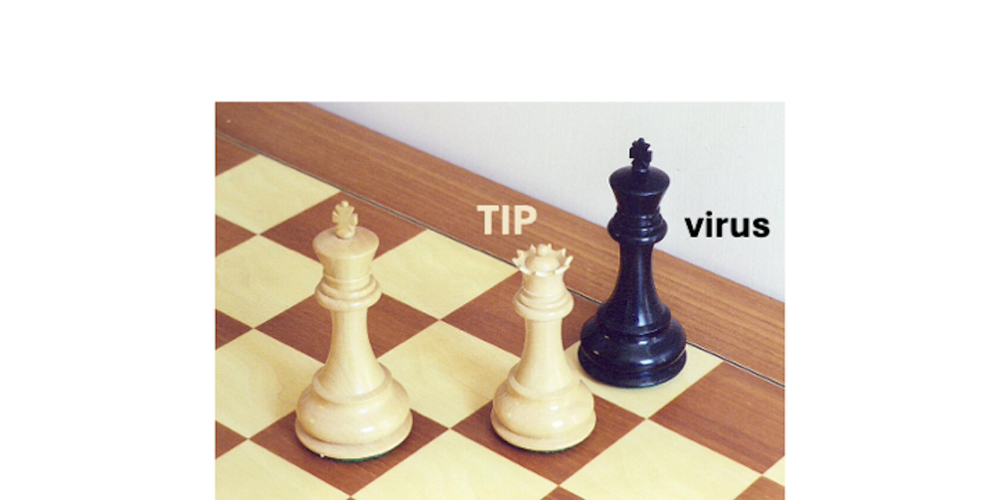 Chess board